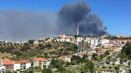 Aldeias evacuadas devido a incêndio às portas de Abrantes