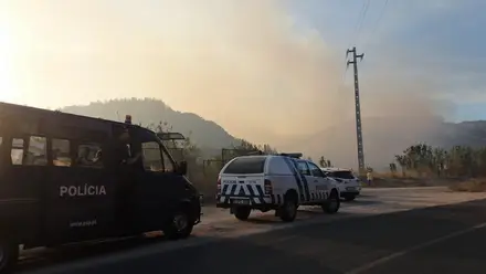 Incêndio no concelho de Vila Franca de Xira mobiliza 126 bombeiros