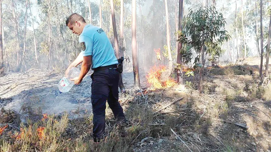 Bombeiros somos nós todos