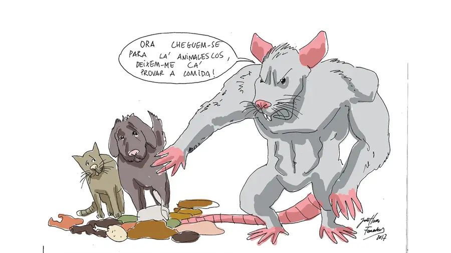 O triunfo dos... ratos O triunfo dos... ratos