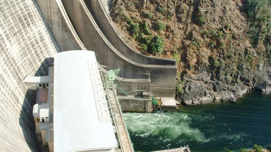 É urgente intervir nas áreas ardidas para garantir qualidade da água de Castelo de Bode