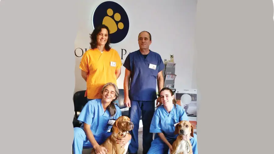 Doutor Patas está permanentemente disponível para tratar casos muito urgentes