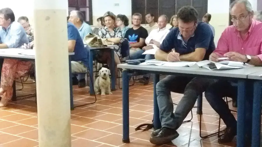 Caros cãocidadãos!