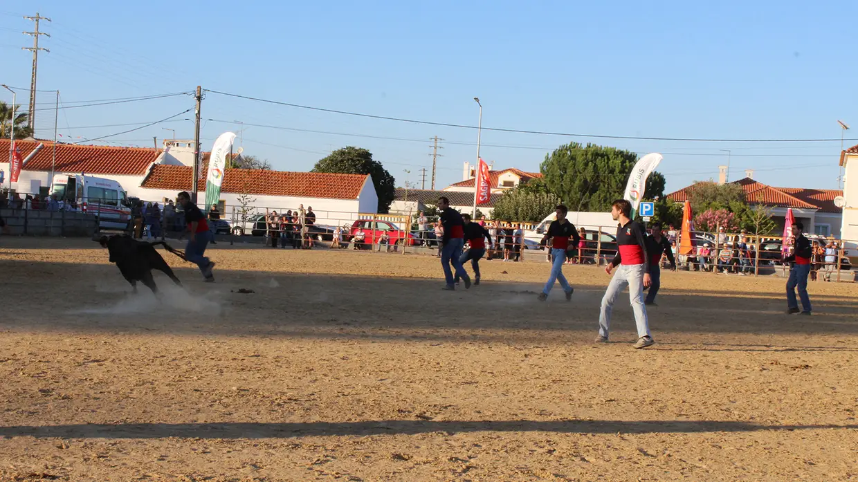 Festa Campera em Montinho dos Pegos