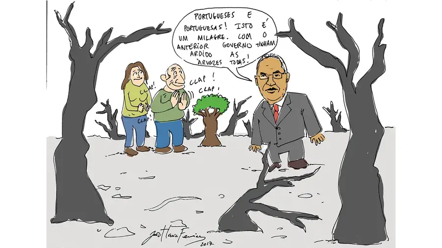 Porque não arderam em Mação as árvores plantadas por ministros? Porque não arderam em Mação as árvores plantadas por ministros?