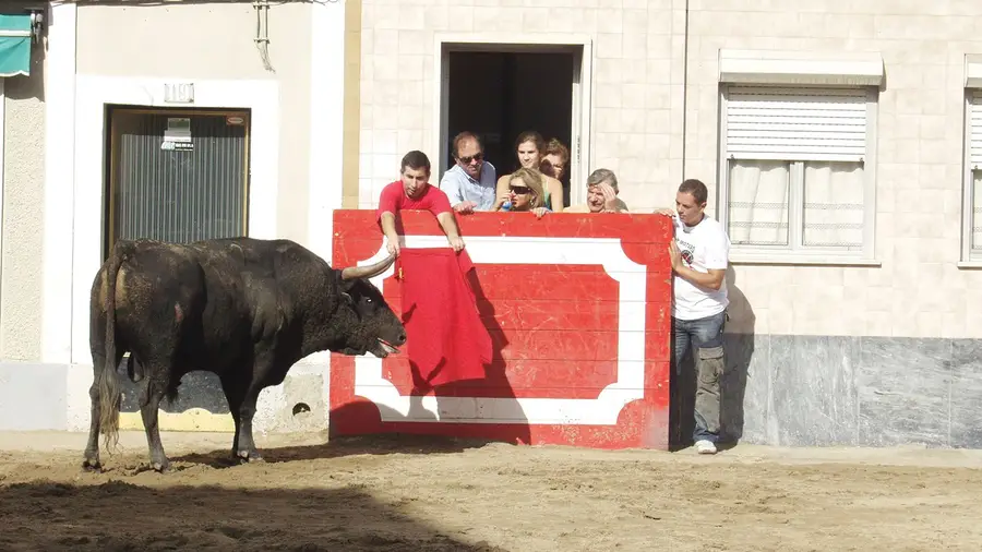 Até domingo, dia 8, está aí mais uma Feira de Outubro