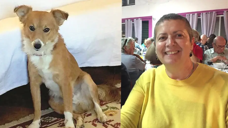 Cão da ministra do Mar desaparecido em Almoster