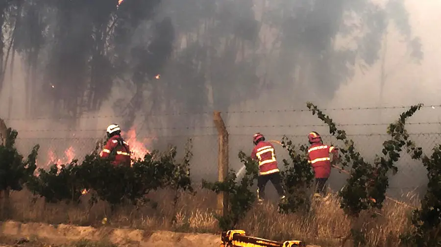 Duzentos bombeiros combatem incêndio em Ourém