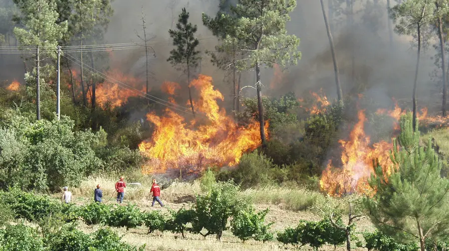 Fogo em Sardoal mobilizou mais de uma centena de bombeiros