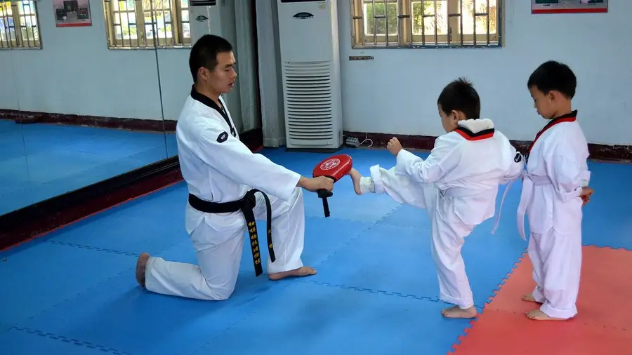 Primeiro Estágio de Taekwondo na Chamusca