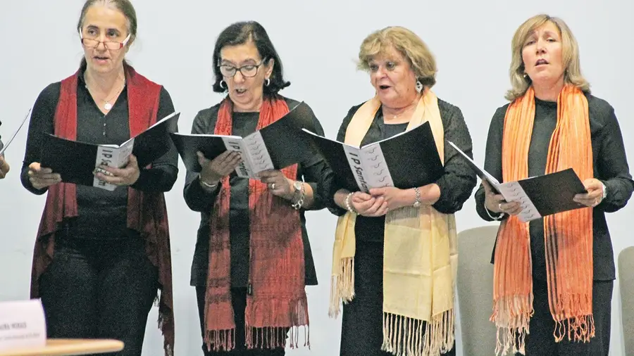 Palavras cantadas Palavras cantadas