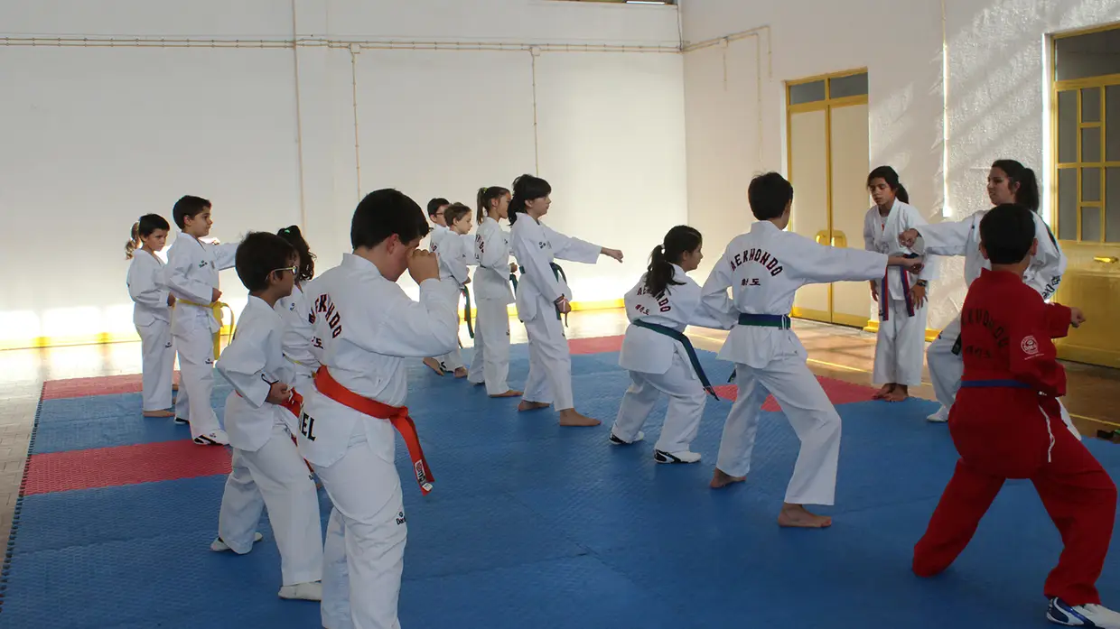 Primeiro estágio de Taekwondo na Chamusca