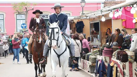 Feira de São Martinho e Feira Nacional do Cavalo juntas novamente na Golegã