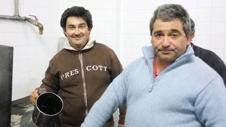 Este ano há muito e bom azeite ribatejano Este ano há muito e bom azeite ribatejano