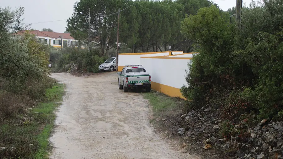 Guardas postos na rua para não incomodarem cão de ministro