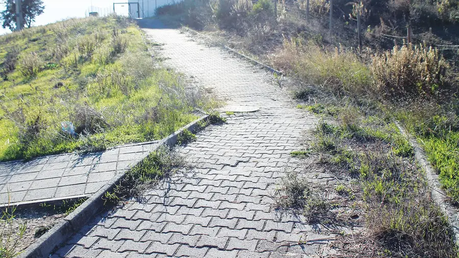 Traseiras do Aldi - Azambuja