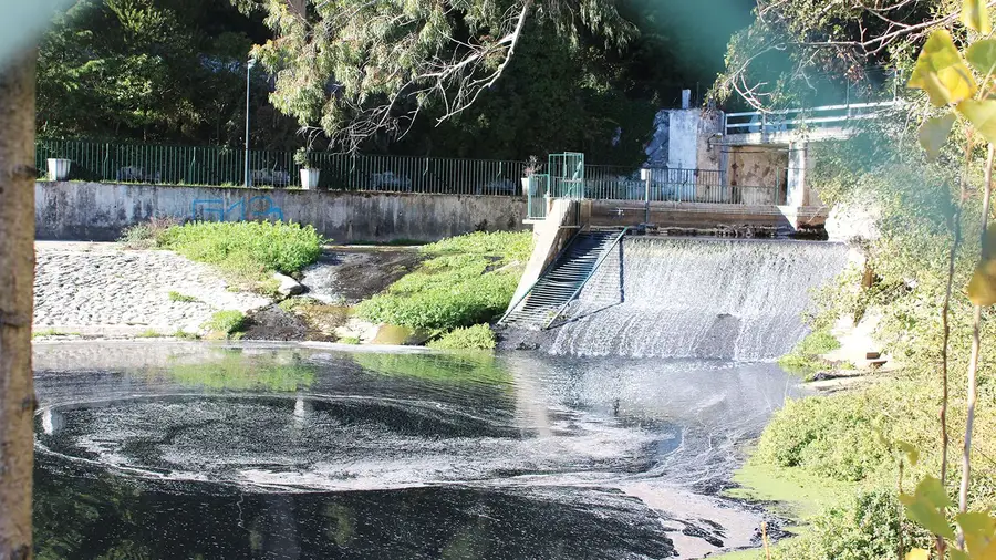 Poluição e peixes mortos junto à nascente do Alviela