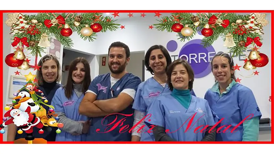 Médica da Torres Pet lembra que há alimentos que não devemos dar aos animais Médica da Torres Pet lembra que há alimentos que não devemos dar aos animais