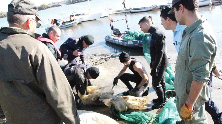 GNR avança em força para o combate à pesca ilegal no Tejo GNR avança em força para o combate à pesca ilegal no Tejo