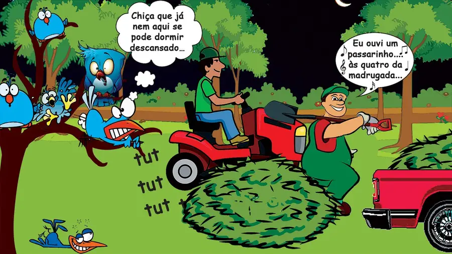 De manhã se começa o dia De manhã se começa o dia