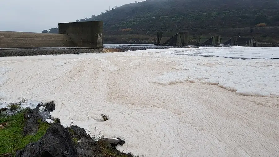 Remoção de espuma no rio Tejo é “operação estética” e “não resolve poluição”