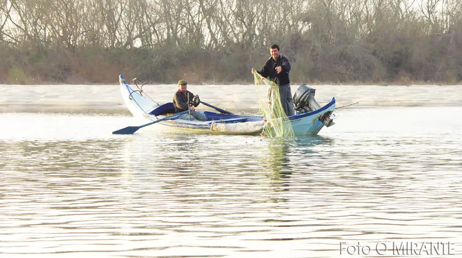 Pescadores do Tejo movem acção contra Estado por causa da poluição