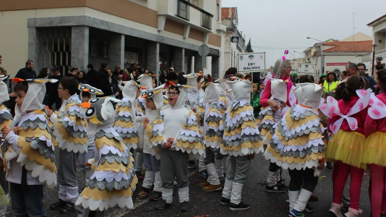 Desfile Escolas 1º ciclo concelho de Alcanena