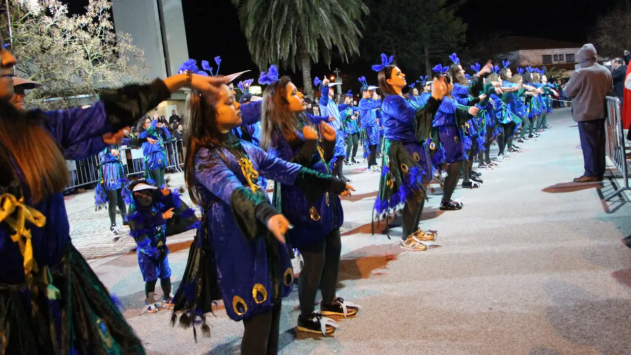 Desfile nocturno do Carnval de Rio Maior