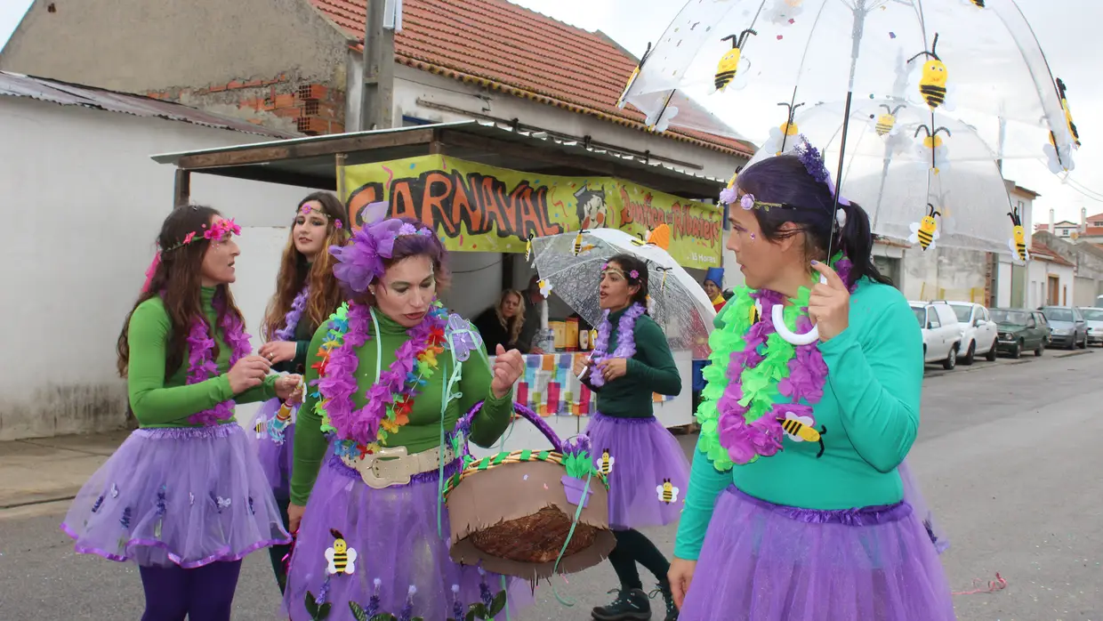 Corso carnavalesco em Benfica do Ribatejo