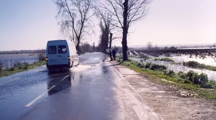 EN365 cortada entre Vale de Figueira e Pombalinho devido à subida das águas