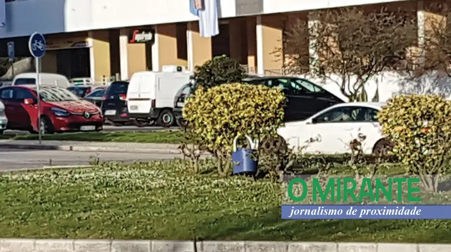Consciência ambiental Consciência ambiental