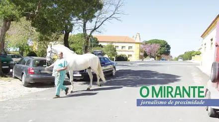 Obras prometidas na Estação Zootécnica Nacional estão para breve