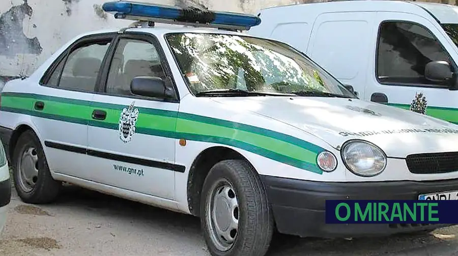 Espera aí que eu já te agarro! Espera aí que eu já te agarro!