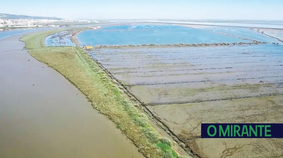 Inércia de várias entidades deixa mouchão da Póvoa quase irrecuperável