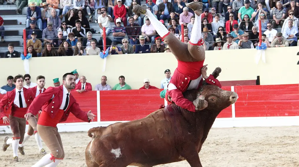 Corrida da Feira de Maio em Azambuja