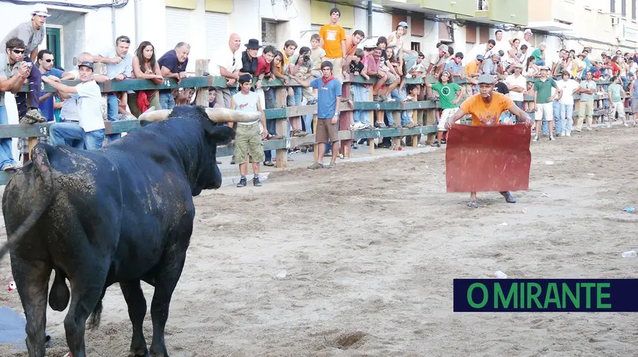 Toiros e sardinhas marcam a Festa da Amizade de Benavente