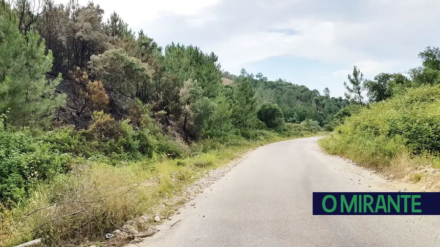 Câmara da Chamusca dá mau exemplo na limpeza das zonas florestais