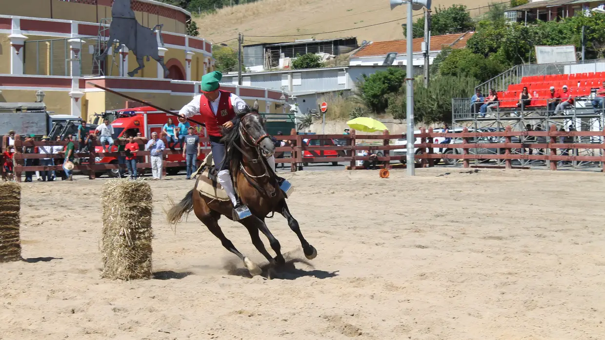 Corrida de Campinos no Colete Encarnado