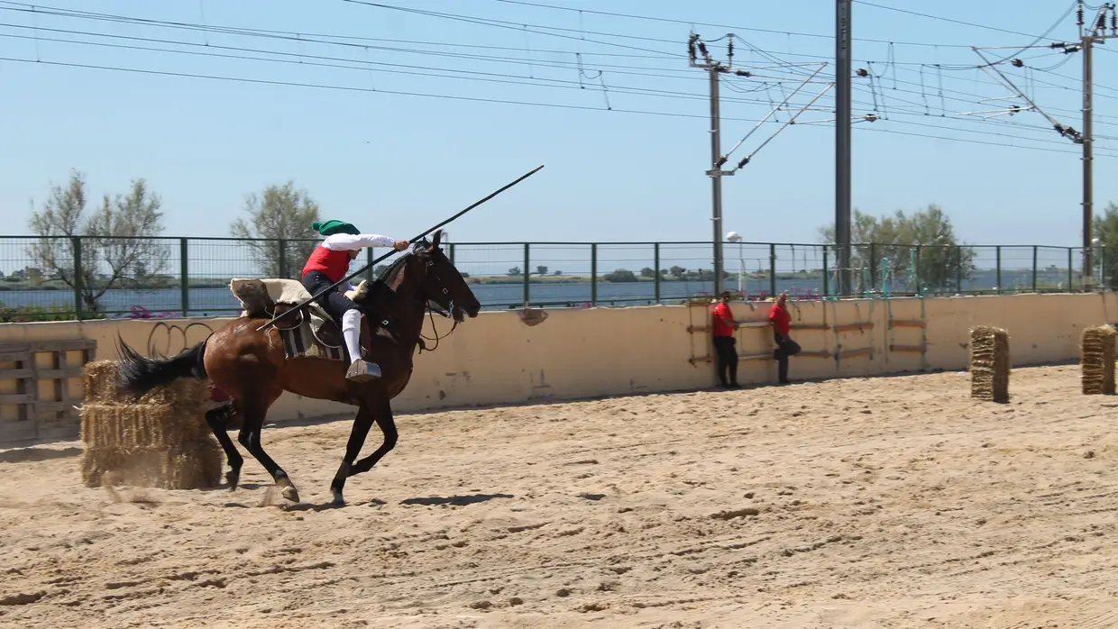 Corrida de Campinos no Colete Encarnado