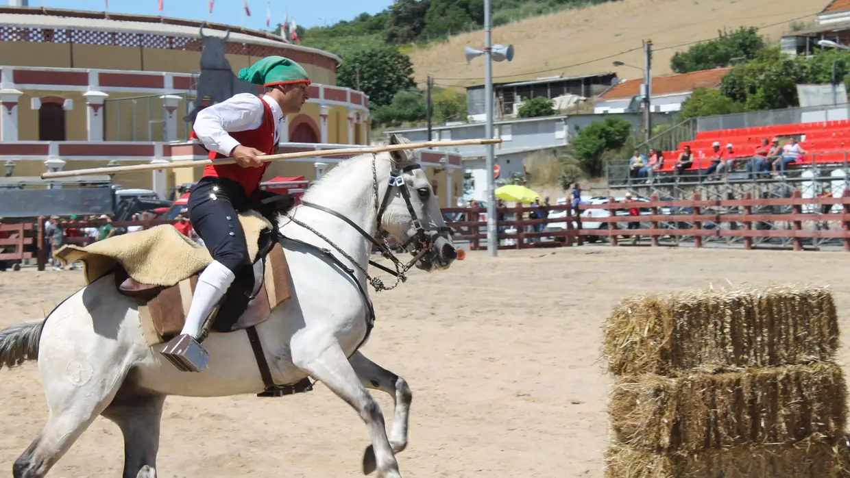 Corrida de Campinos no Colete Encarnado