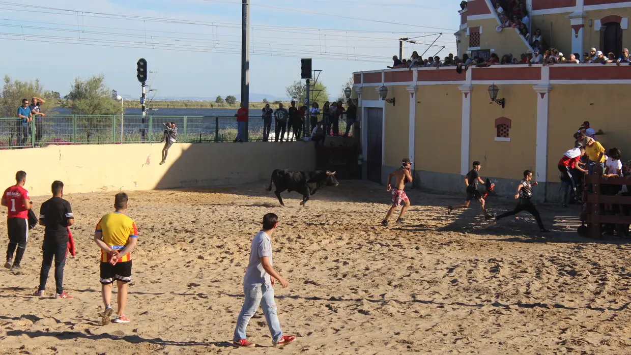 Largada de toiros no Colete Encarnado em Vila Franca de Xira