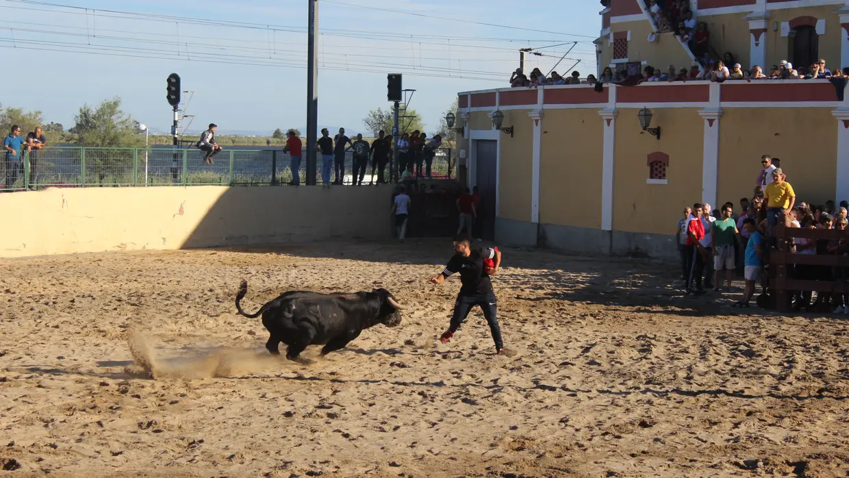 Largada de toiros no Colete Encarnado em Vila Franca de Xira