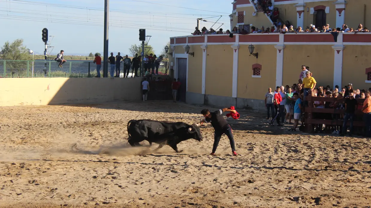 Largada de toiros no Colete Encarnado em Vila Franca de Xira