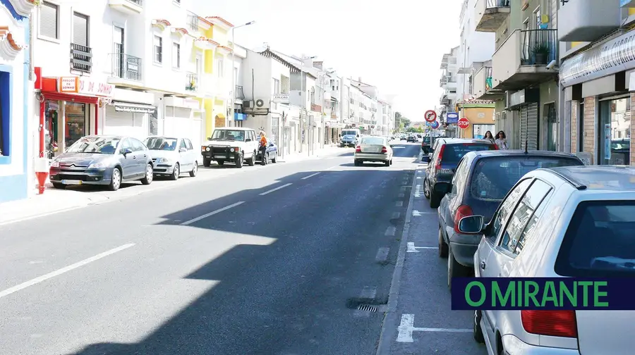 Gatos da Dona Patornila de Samora Correia continuam a incomodar vizinhança