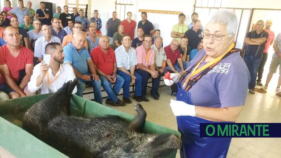 Alerta aos caçadores: há uma tuberculose nos javalis e veados que contagia humanos