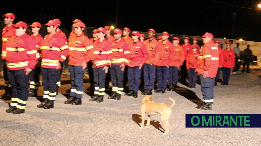 Curiosidade...canina!! Curiosidade...canina!!