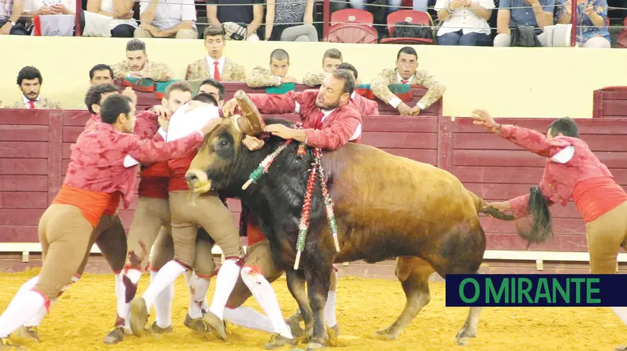 Silêncio que se vai pegar um toiro no Campo Pequeno