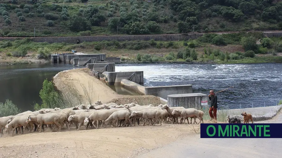 Caudais elevados no Tejo dificultam obras no açude de Abrantes Caudais elevados no Tejo dificultam obras no açude de Abrantes