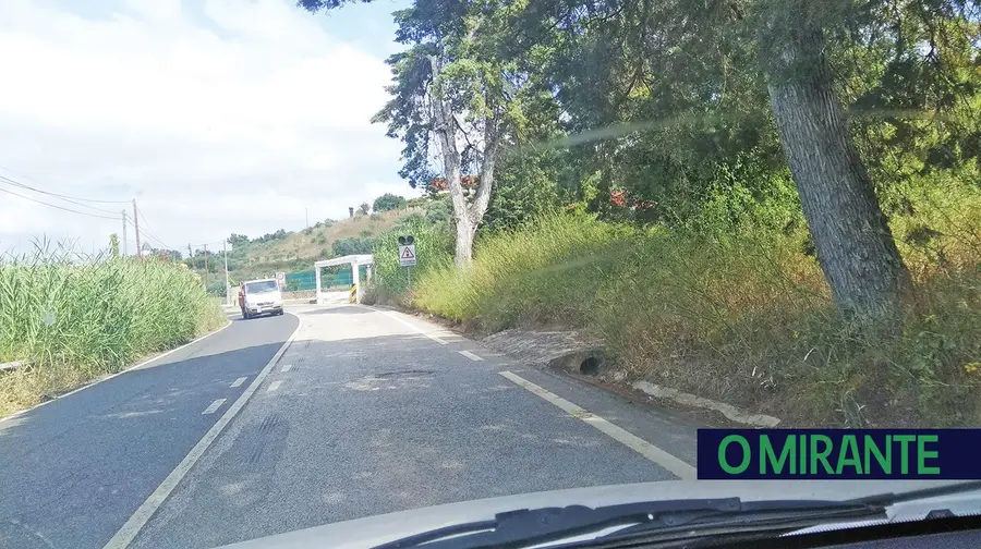 Bermas por limpar na EN 114 são “situação vergonhosa e escandalosa” Bermas por limpar na EN 114 são “situação vergonhosa e escandalosa”