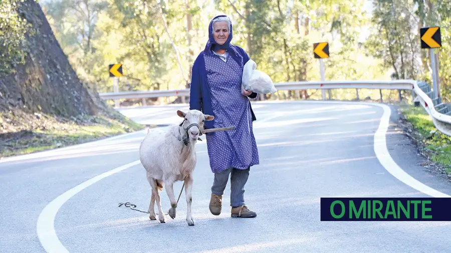 A caminho de Amêndoa A caminho de Amêndoa